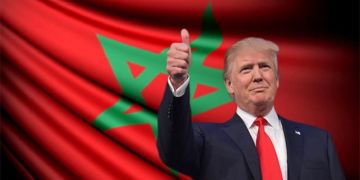 تصنيف البوليساريو منظمة إرهابية.. لزرق يكشف حلا لإنهاء مشكل الصحراء المغربية تصنيف البوليساريو منظمة إرهابية.. لزرق يكشف حلا لإنهاء مشكل الصحراء المغربية