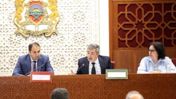 الصبار ردا على وهبي: توصيات المؤسسات الدستورية ملزمة معنويا وأخلاقيا للحكومة