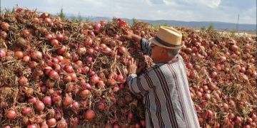 تجار يكشفون احتكار البصل بسوق الجملة ويطالبون الرميلي بالتدخل -فيديو