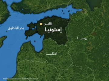 هاكر مغربي يخترق بيانات نصف سكان إستونيا.. ومذكرة توقيف دولية بحقه