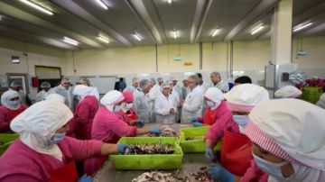 العرائش.. الدريوش تزور وحدات صناعية تشغل أزيد من 13 ألف عامل