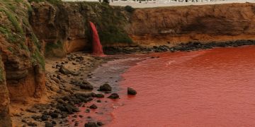 تحول لون البحر إلى الأحمر يثير المخاوف بالعرائش