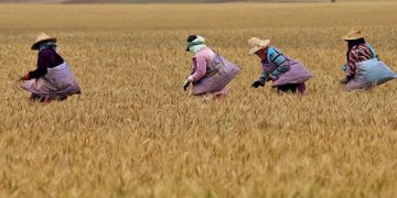 دعوات إلى تحسين وضعية الكسابين والفلاحين الصغار