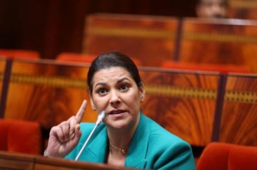 المنصوري تطلق صفقة بنصف مليار لتحسين صورة وزارتها والترويج لإنجازاتها المنصوري تطلق صفقة بنصف مليار لتحسين صورة وزارتها والترويج لإنجازاتها