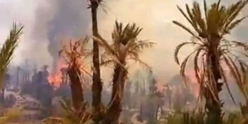 حريق مهول بواحة يثير الاستنفار بطاطا حريق مهول بواحة يثير الاستنفار بطاطا