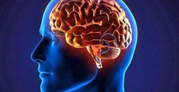 اليابان.. علماء يطورون جهازا يحاكي الدماغ ويميز الألوان بدقة تقارب قدرة العين البشرية