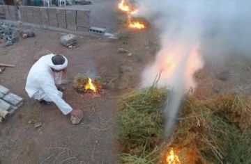 الأمازيغ يحيون طقس لعنصرت .. عيد الحصاد والخيرات بدخان البركة ومكافحة الشرور