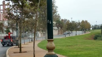 أسراب البعوض تغزو أحياء الرباط.. ومجلس المودني في قفص الاتهام أسراب البعوض تغزو أحياء الرباط.. ومجلس المودني في قفص الاتهام