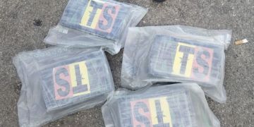 إيقاف سيدة بباب سبتة بحوزتها 7 كلغ و770 غ من الكوكايين إيقاف سيدة بباب سبتة بحوزتها 7 كلغ و770 غ من الكوكايين