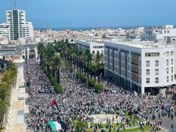 الرباط تنتفض ضد التجويع في غزة.. مسيرة حاشدة تدين الإبادة الجماعية والتواطؤ الدولي (صور) الرباط تنتفض ضد التجويع في غزة.. مسيرة حاشدة تدين الإبادة الجماعية والتواطؤ الدولي (صور)