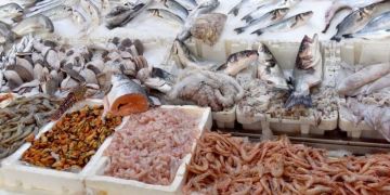 أمام اختفاء السردين.. أسعار السمك تحلق عاليا أمام اختفاء السردين.. أسعار السمك تحلق عاليا