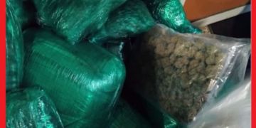 توقيف مواطنين كنديين حاولا تهريب المخدرات بمطار محمد الخامس توقيف مواطنين كنديين حاولا تهريب المخدرات بمطار محمد الخامس