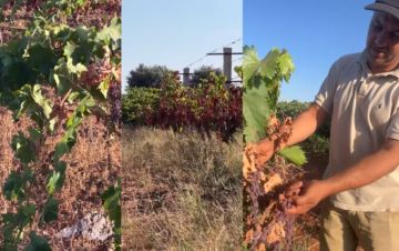 جفاف وأضرار بالملايين.. واستثمارات فلاحين بدكالة تتبخر تحت حرارة الشرقي (فيديو) جفاف وأضرار بالملايين.. واستثمارات فلاحين بدكالة تتبخر تحت حرارة الشرقي (فيديو)