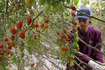 مياه البحر المحلاة لإنقاذ الزراعة جنوب المغرب