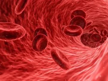 إنجاز طبي غير مسبوق بالمغرب.. مؤسسة محمد السادس تنجح في إنتاج خلايا جذعية من عينة دم إنجاز طبي غير مسبوق بالمغرب.. مؤسسة محمد السادس تنجح في إنتاج خلايا جذعية من عينة دم