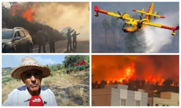 منظمة حقوقية تشكل لجنة لتقصي الحقائق في حرائق شفشاون