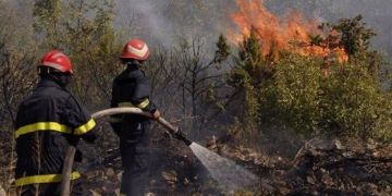 إيقاف مشتبه فيه بإشعال حريق غابوي مهول نواحي شفشاون