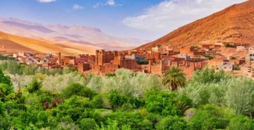 واحات الجنوب الشرقي.. مورد وتراث اجتماعي مهدد وفعاليات تطالب بالتدخل واحات الجنوب الشرقي.. مورد وتراث اجتماعي مهدد وفعاليات تطالب بالتدخل