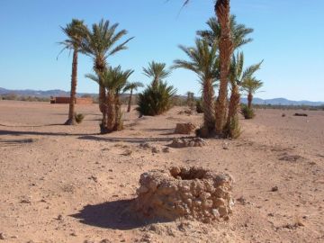 واحات المغرب تحت التهديد .. التغيرات المناخية والزراعة المكثفة تلتهم النخيل واحات المغرب تحت التهديد .. التغيرات المناخية والزراعة المكثفة تلتهم النخيل