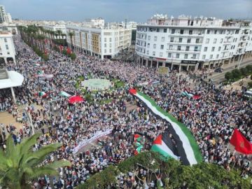 لن نكون شركاء في الإبادة.. إضراب عن الطعام واعتصامات ومسيرات بالمغرب تنديدا بتجويع غزة لن نكون شركاء في الإبادة.. إضراب عن الطعام واعتصامات ومسيرات بالمغرب تنديدا بتجويع غزة