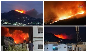 النيران التهمت 75 هكتارا.. فرق الإطفاء تنجح في إطفاء حريق بنقريش بتطوان (فيديو) النيران التهمت 75 هكتارا.. فرق الإطفاء تنجح في إطفاء حريق بنقريش بتطوان (فيديو)