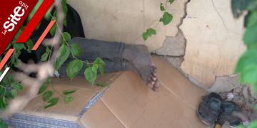 سكان حي بأكادير يشتكون من انتشار الكلاب الضالة والمشردين والمختلين عقليا -فيديو سكان حي بأكادير يشتكون من انتشار الكلاب الضالة والمشردين والمختلين عقليا -فيديو