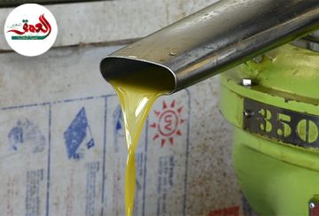 من 120 إلى 50 درهما.. وفرة الإنتاج وارتفاع العرض يخفضان أسعار زيت الزيتون بالمغرب