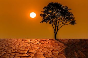 تقرير: 78 من المغاربة قلقون من تغير المناخ لكن 18 فقط يشاركون في حمايته