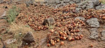 سيول جارفة تعصف بضيعات البصل بكيكو نواحي بولمان