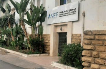 مهندسو الغابات يرفضون الإدماج القسري ويهددون بالتصعيد