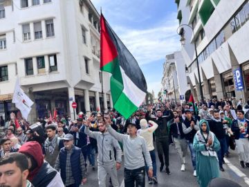 اعتراف فرنسا بدولة فلسطين يثير ارتياحا حذرا في الدول المغاربية اعتراف فرنسا بدولة فلسطين يثير ارتياحا حذرا في الدول المغاربية