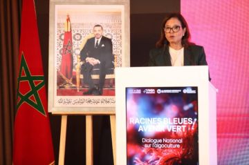 الدريوش: المغرب أسكت كل المشككين وبات رائدا في زراعة وتنمية الطحالب البحرية الدريوش: المغرب أسكت كل المشككين وبات رائدا في زراعة وتنمية الطحالب البحرية