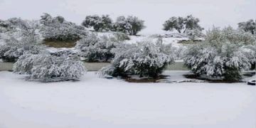 مناظر نادرة.. الثلوج تزين مدينة وجدة