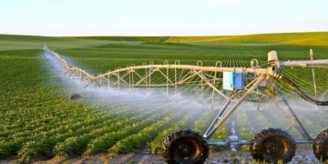 البام ينبه وزارة الفلاحة إلى مخاطر استعمال المبيدات الكيميائية البام ينبه وزارة الفلاحة إلى مخاطر استعمال المبيدات الكيميائية