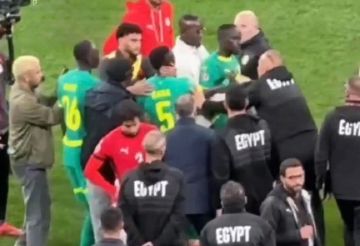 شاهد.. اشتباك بين الجهازين الفنيين لمنتخبي مصر والسنغال (فيديو)
