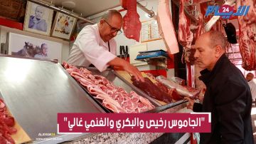 ارتفاع أسعار اللحوم بشكل صاروخي ومهني يفجرها: البكري بـ 110 وملي كتصب الشتا كيطلع الثمن