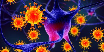 هل يشكل فيروس نيباه خطرا على المغرب؟.. حمضي يوضح