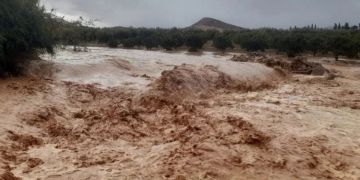 السيول وارتفاع منسوب واد تاملالت يقطعان العديد من المقاطع الطرقية بزاكورة السيول وارتفاع منسوب واد تاملالت يقطعان العديد من المقاطع الطرقية بزاكورة