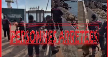 تعنيف قاصر وتحريض كلب على أطفال يجران حارسي أمن إلى العدالة بأكادير تعنيف قاصر وتحريض كلب على أطفال يجران حارسي أمن إلى العدالة بأكادير