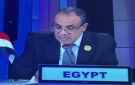 وزير الخارجية: منتدى العلمين - أفريقيا للأعمال منصة لتعزيز الاستثمار والتنمية