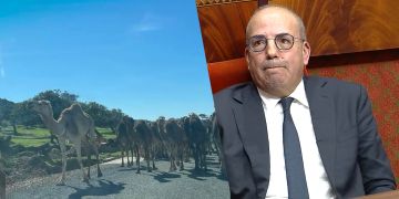 البواري يتحاشى التعليق على معاناة ضحايا الرعي الجائر بإقليم سيدي إفني البواري يتحاشى التعليق على معاناة ضحايا الرعي الجائر بإقليم سيدي إفني