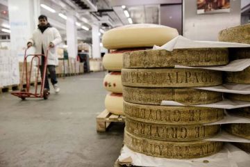 الصين تخفض الرسوم على ألبان أوروبا مع آمال بانفراجة تجارية الصين تخفض الرسوم على ألبان أوروبا مع آمال بانفراجة تجارية