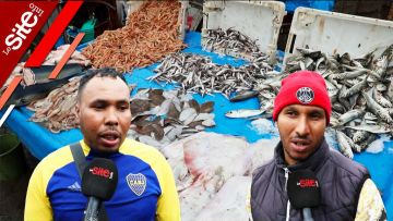 بائعون للسمك يكشفون عن انخفاض ثمن السردين قبيل رمضان -فيديو