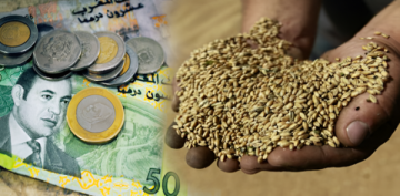 مفتي السعودية يثير الجدل: إخراج زكاة الفطر نقودا مخالف للسنة النبوية مفتي السعودية يثير الجدل: إخراج زكاة الفطر نقودا مخالف للسنة النبوية