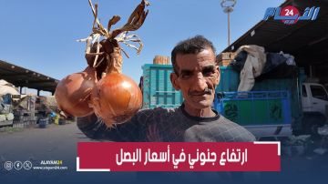 ارتفاع جنوني في أسعار البصل.. وبائع يفضح المستور (فيديو)