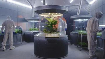 باحثون ألمان يطورون نظاما حيويا لإنتاج غذاء قابل للأكل من موارد الكوكب الأحمر