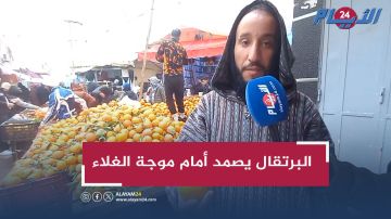 البرتقال يصمد أمام موجة الغلاء والطلب لم يتأثر.. تجار يكشفون السر (فيديو) البرتقال يصمد أمام موجة الغلاء والطلب لم يتأثر.. تجار يكشفون السر (فيديو)