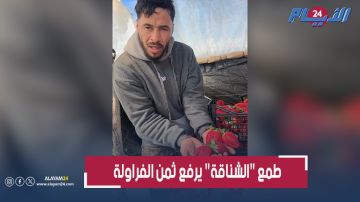 يبيعونها بـ 30 درهما وهذا ثمنها الأصلي.. مزارع يكشف تلاعبات الشناقة بأثمنة فاكهة الفراولة
