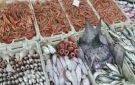 شروط وإجراءات صارمة.. الحكومة تصادق على مشروع بيع السمك بالجملة