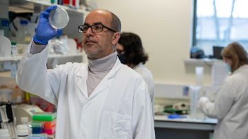 المملكة المتحدة.. تكريم العالم المغربي ميمون عزوز نظير إسهاماته البارزة في مجال العلاج الجيني